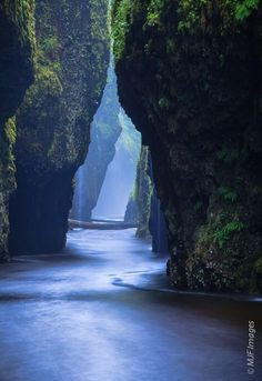 a narrow river surrounded by tall rocks and greenery on both sides with water flowing between them