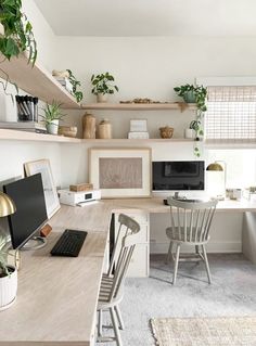 a home office with desk, computer and shelves filled with potted plants on the wall