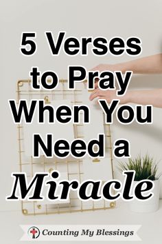 a desk with a plant and a wire rack on it that says, 5 verses to pray when you need a miracle