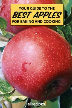 two apples sitting on top of a tree with the words your guide to the best apples for baking and cooking