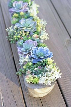 a long succulent planter is sitting on a wooden deck