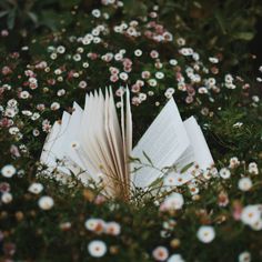 an open book sitting in the middle of flowers