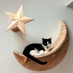 a black and white cat is sitting on a crescent moon with a star hanging above it