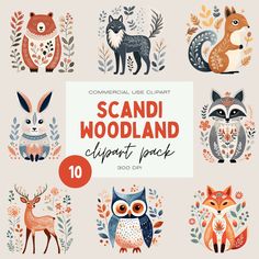 an assortment of woodland animals with the words scandi woodland expert pack on it's front