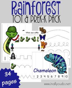 the rainforest tot and prek pack is shown with an image of different animals