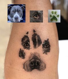 a dog's paw is shown with four different pictures on it, including an image of a dog's face