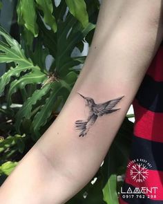 a small tattoo on the arm of a person with a hummingbird in it's beak