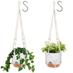 two hanging planters with plants in them, one is white and the other is green