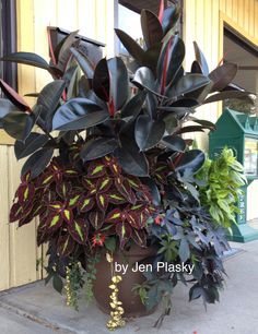 a large potted plant sitting on top of a sidewalk