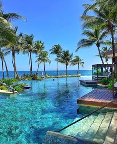 an outdoor swimming pool surrounded by palm trees and the ocean in the background with lounge chairs