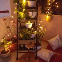 several potted plants are lit up on a shelf in the corner of a room