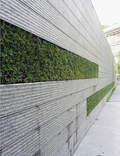 a wall that has some plants growing on it