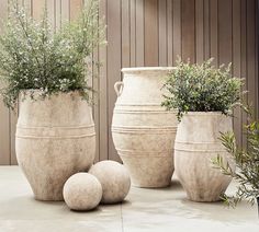 three large vases with plants in them sitting on a cement floor next to each other