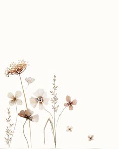 some white and brown flowers on a white background