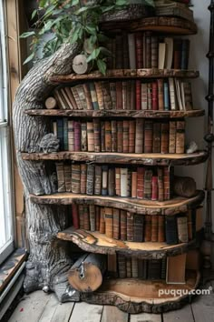 an old book shelf with many books on it and a tree trunk in the corner