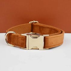 a brown dog collar with a gold buckle