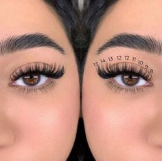 Lash Extentions Maps, Eyelash Extension Lengths, Lashes With Numbers, Lashes Extensions Numbers, Cat Eye Mapping Eyelash Extensions, Lashes Extensions Cat Eye, Eyelash Extensions Mapping Styles, Hybrid Doll Eye Lash Extensions, Cat Eye Lash Map