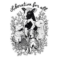 a black and white cow surrounded by other animals with the words liberation for free above it