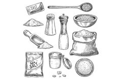 hand drawn illustration of spices and salt