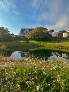 a pond in the middle of a lush green field with flowers growing on both sides