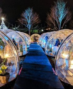 several clear domes with plants in them on a walkway at night time, lit up by street lights