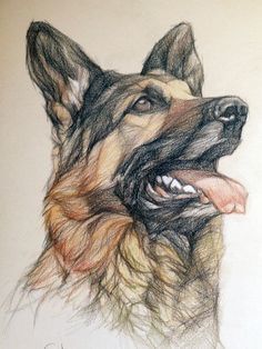 a drawing of a german shepherd dog with its tongue out and his mouth open, looking to the left