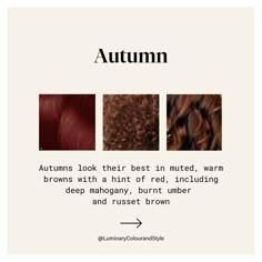 the autumn hair color scheme is shown in three different shades, including red and brown