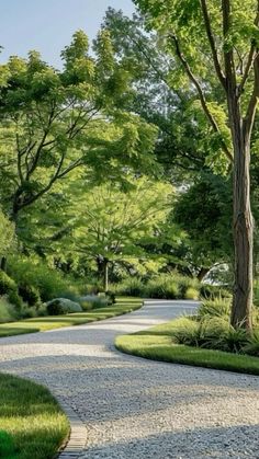 a stone path in the middle of a lush green park