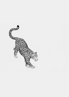 a black and white drawing of a cheetah on the side of a wall