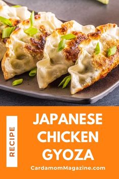 japanese chicken gyoza on a plate with chopsticks