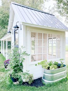 Chicken coop chickens coop idea chicken coop design Chicken Coop Greenhouse Combo Diy, Chicken Coop With Old Windows, Chicken Coop With Windows, Old Window Chicken Coop, Whimsical Chicken Coop, Chicken Coop Perch Ideas, Free Range Chicken Coop Ideas, Chicken Coop Aesthetic, Greenhouse Chicken Coop Combo