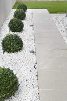 a garden with white rocks and green bushes