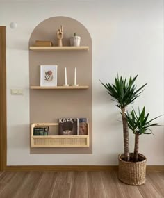 a potted plant sitting on top of a wooden shelf next to a book shelf