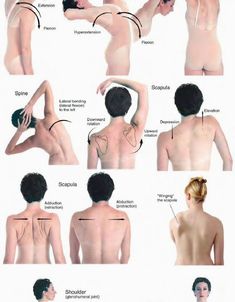 Shiatsu Massage, Massage Benefits, Body Anatomy, How To Give, Anatomy And Physiology