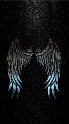 two black and white wings with blue streaks on the dark background, one wing has been cut out