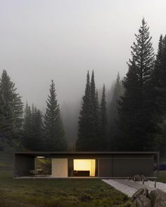 the house is surrounded by trees and fog