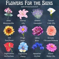 flowers for the zodiac sign on a chalkboard