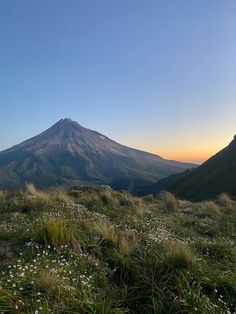 the sun is setting over a mountain with wildflowers and grass in front of it