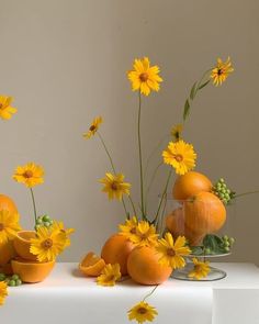 an arrangement of oranges and daisies on a table