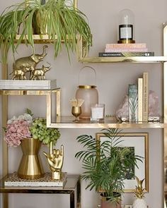 a shelf filled with vases and plants on top of it