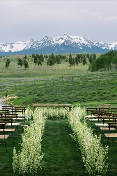 rows of wooden benches sitting on top of a lush green field next to a mountain