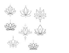 six different types of lotus flowers on a white background