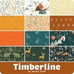 a book cover with many different patterns and colors on it, including the words timberline