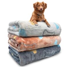 a brown dog sitting on top of three blanketes that are folded in different colors