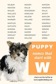 a small dog sitting in front of a sign that says puppy names that start with w