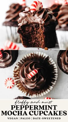 chocolate peppermint mocha cupcakes with candy canes in the middle