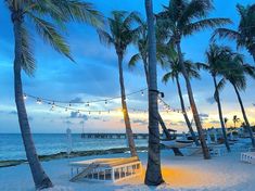 palm trees line the beach at sunset with boats in the water and lights strung over them