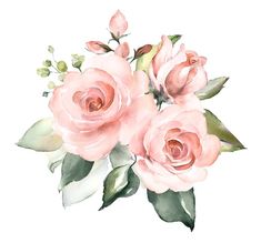 watercolor painting of three pink roses with green leaves