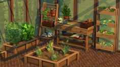 a room filled with lots of potted plants and wooden shelves next to each other