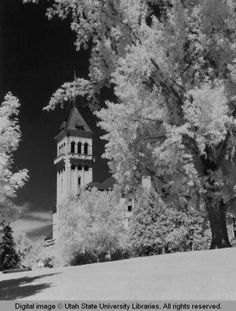 an old photo of a clock tower in the trees